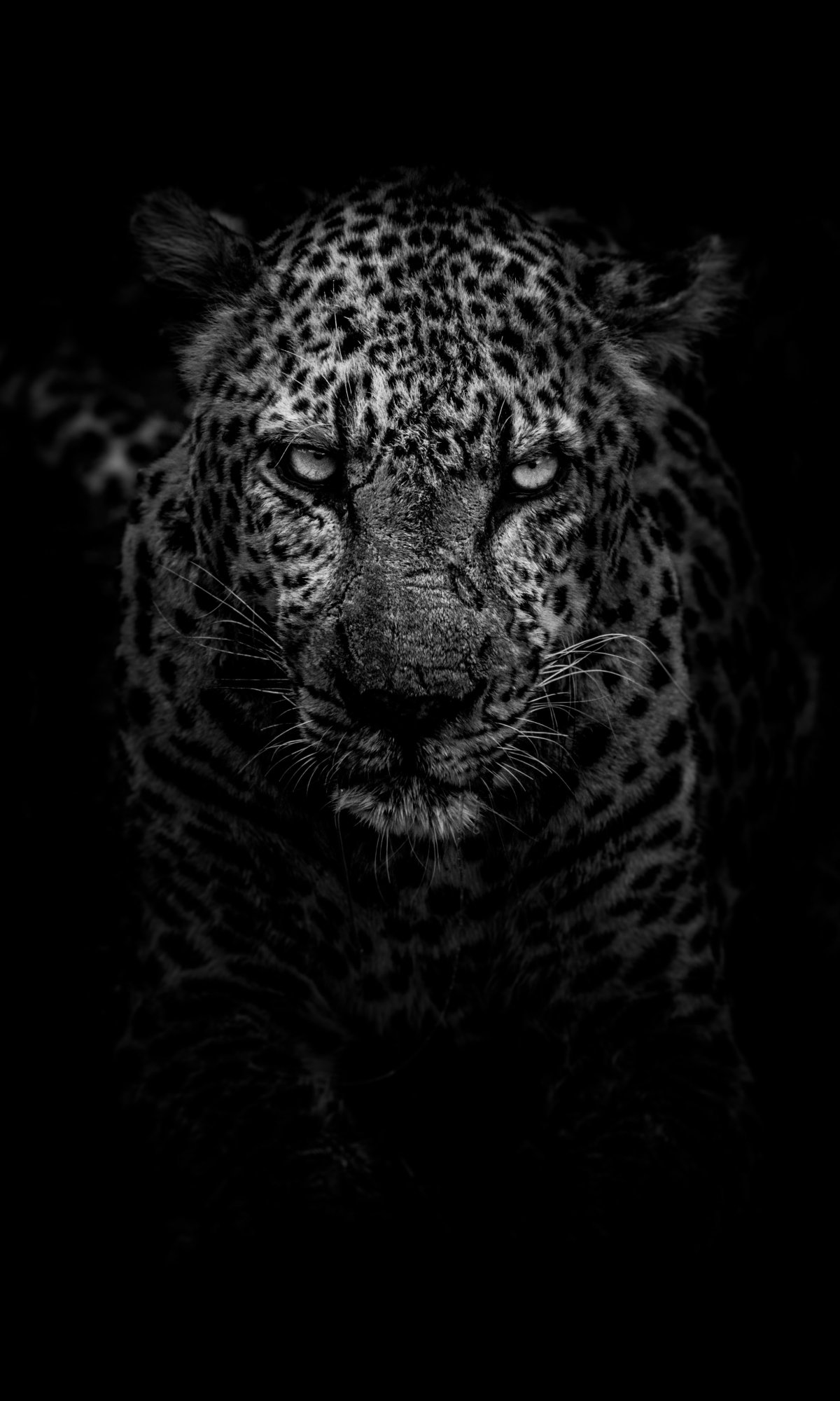 Заставки на телефон черно белые