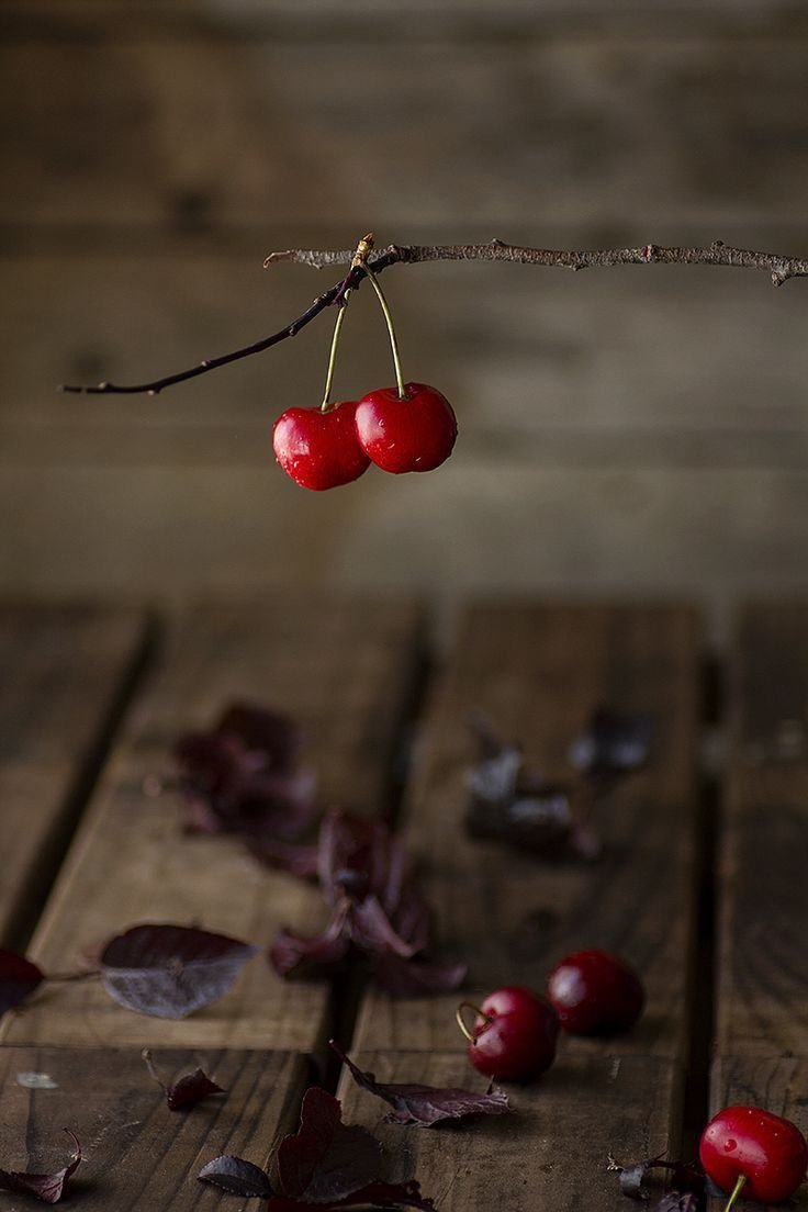 Вишня Эстетика