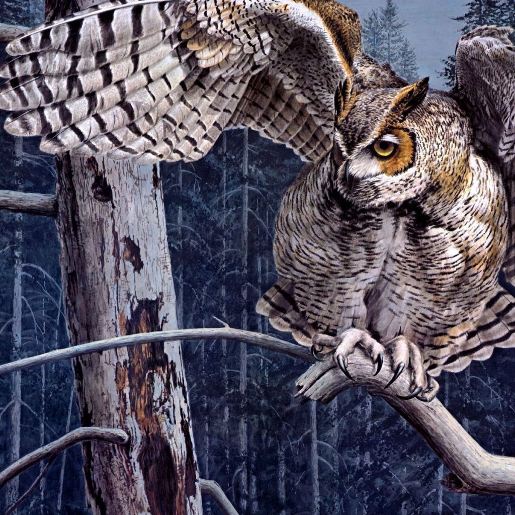 Филин с закрытыми глазами