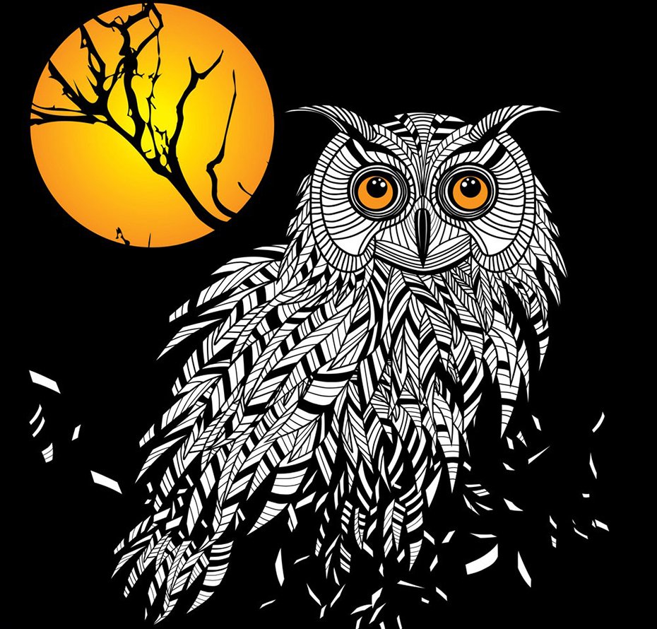 Напуганная Сова