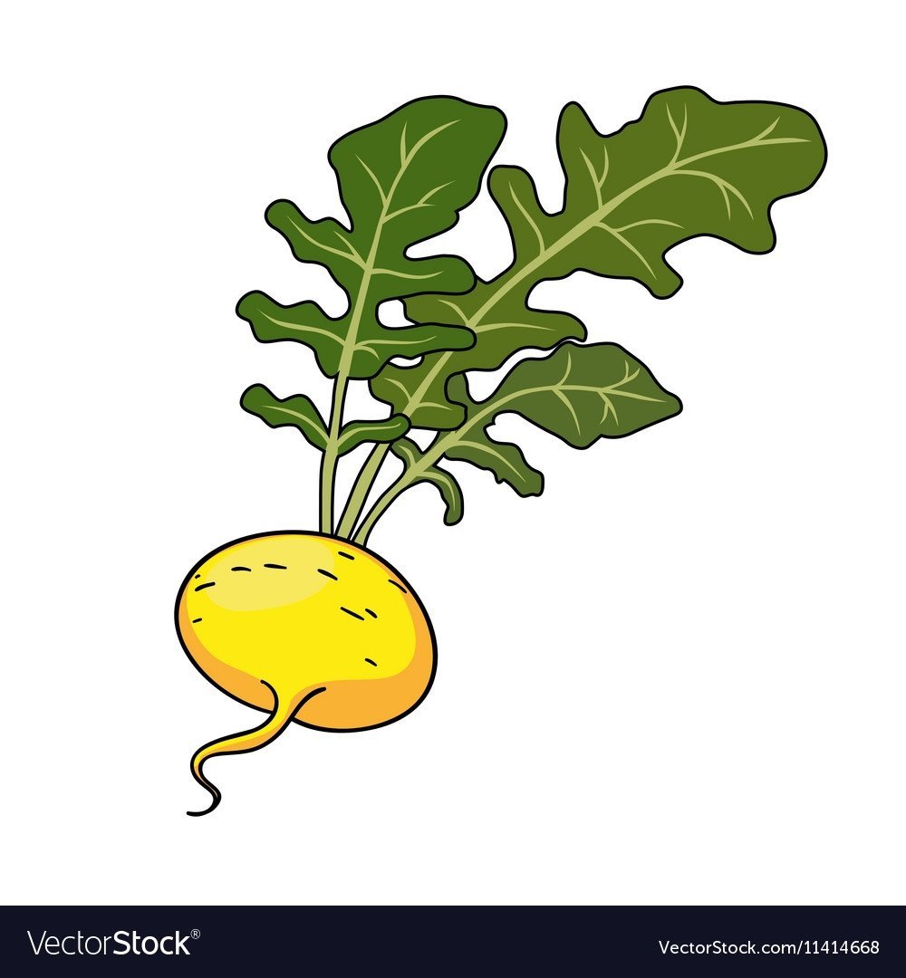 Репка картинка