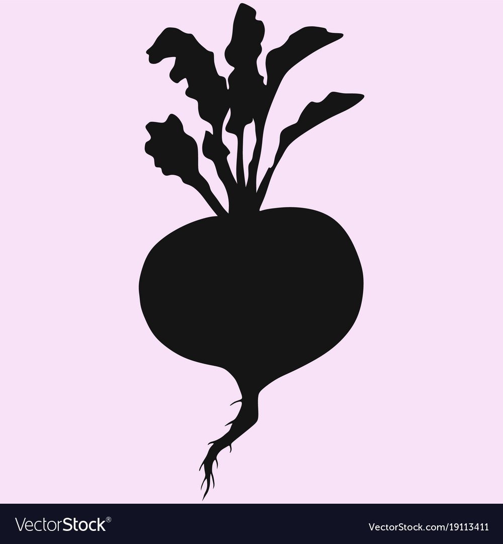 Репа вектор