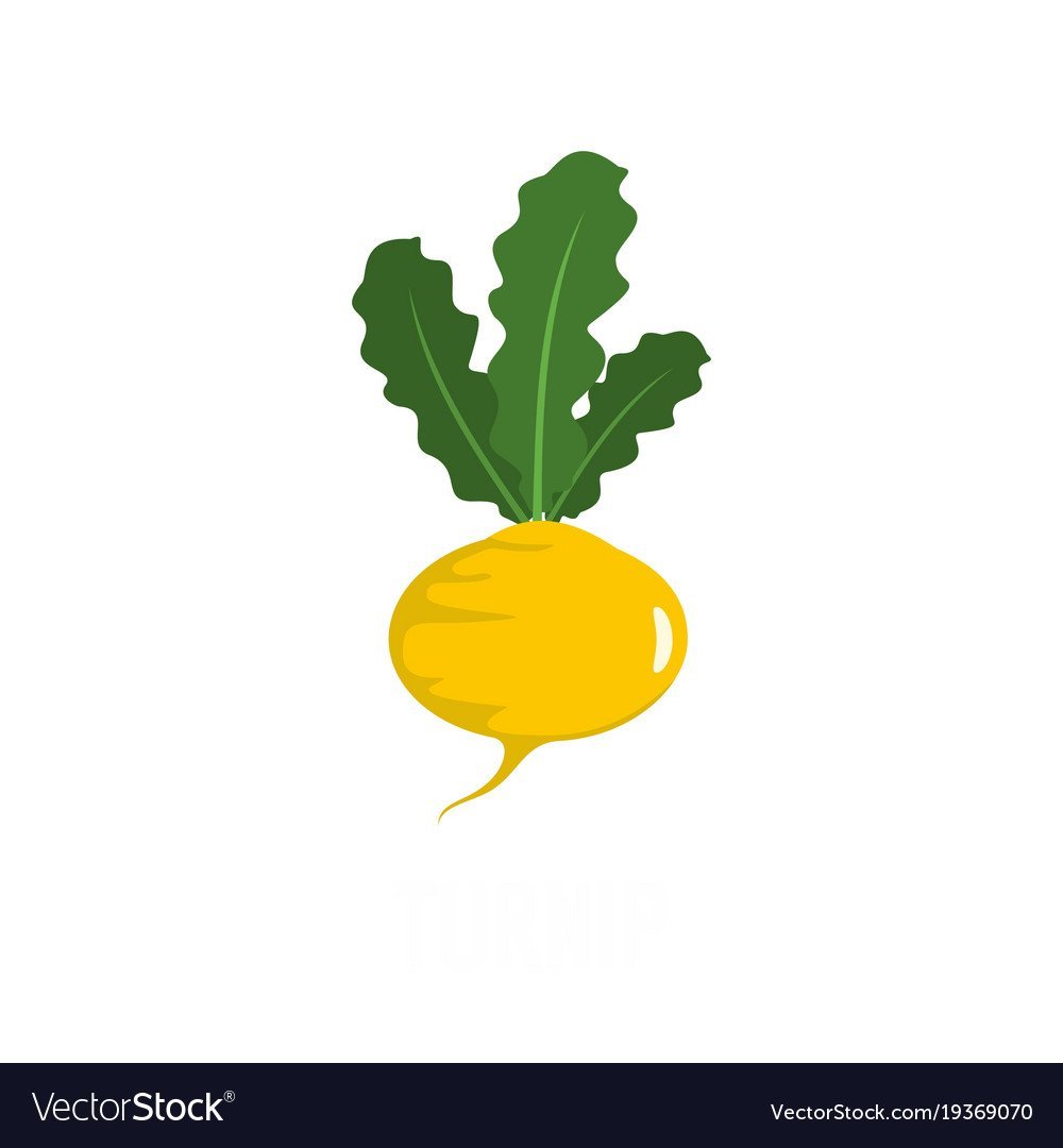 Репка на белом фоне