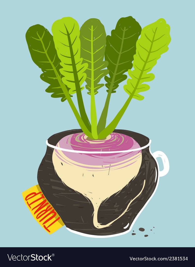 Репа в горшке