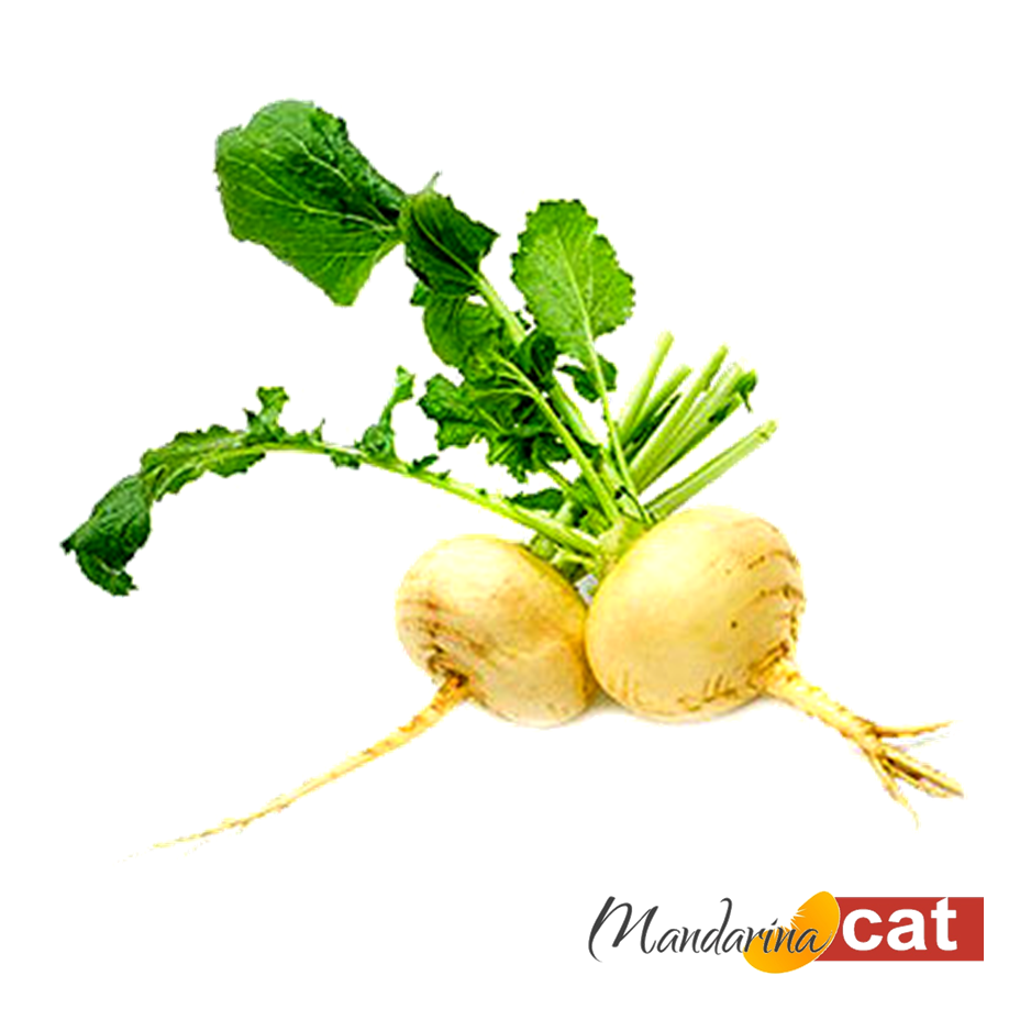 Репа на прозрачном фоне