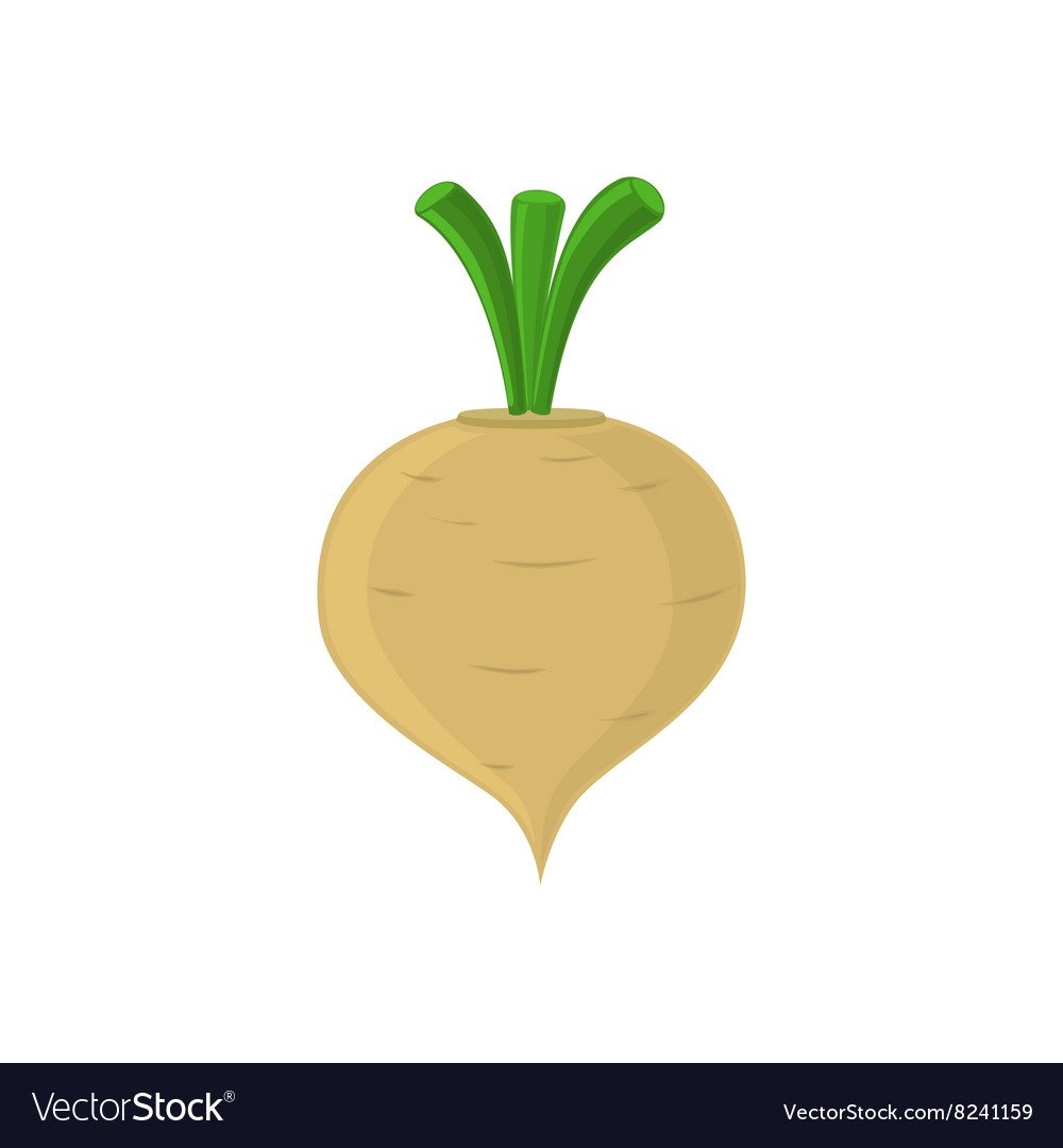 Репа вектор