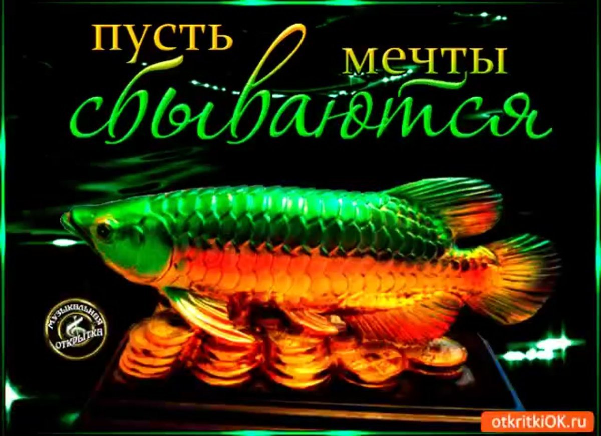 Пусть исполняются мечты