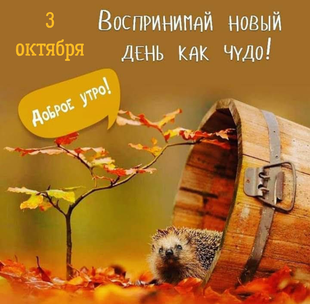 Красивые картинки с добрым утром позитивные пятница