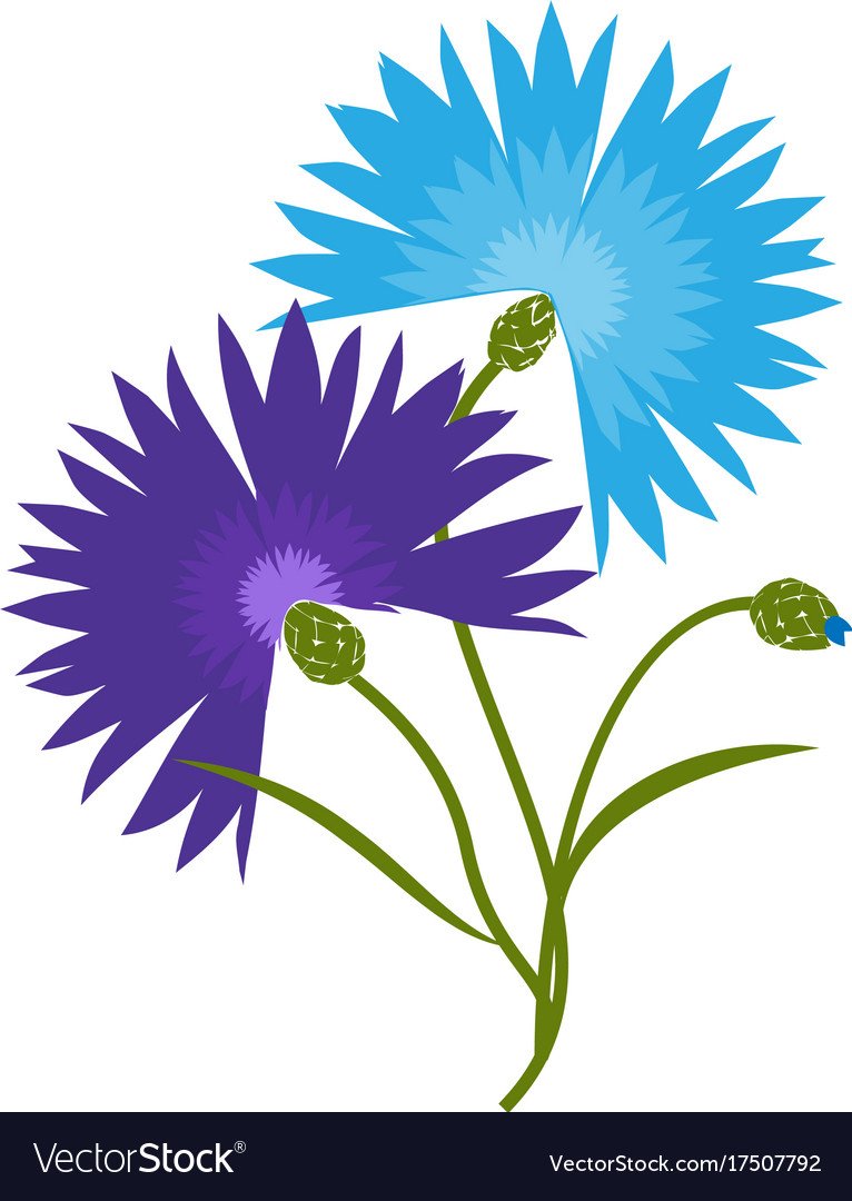 Василек мультяшная