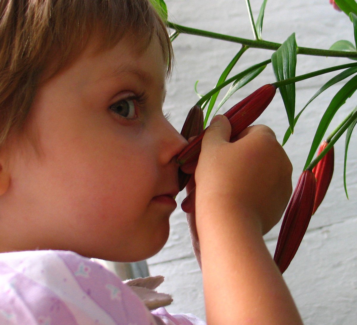 Запах ребенка