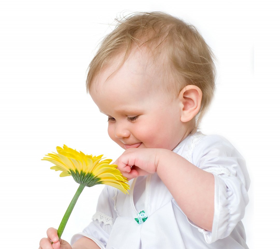 Дети на белом фоне