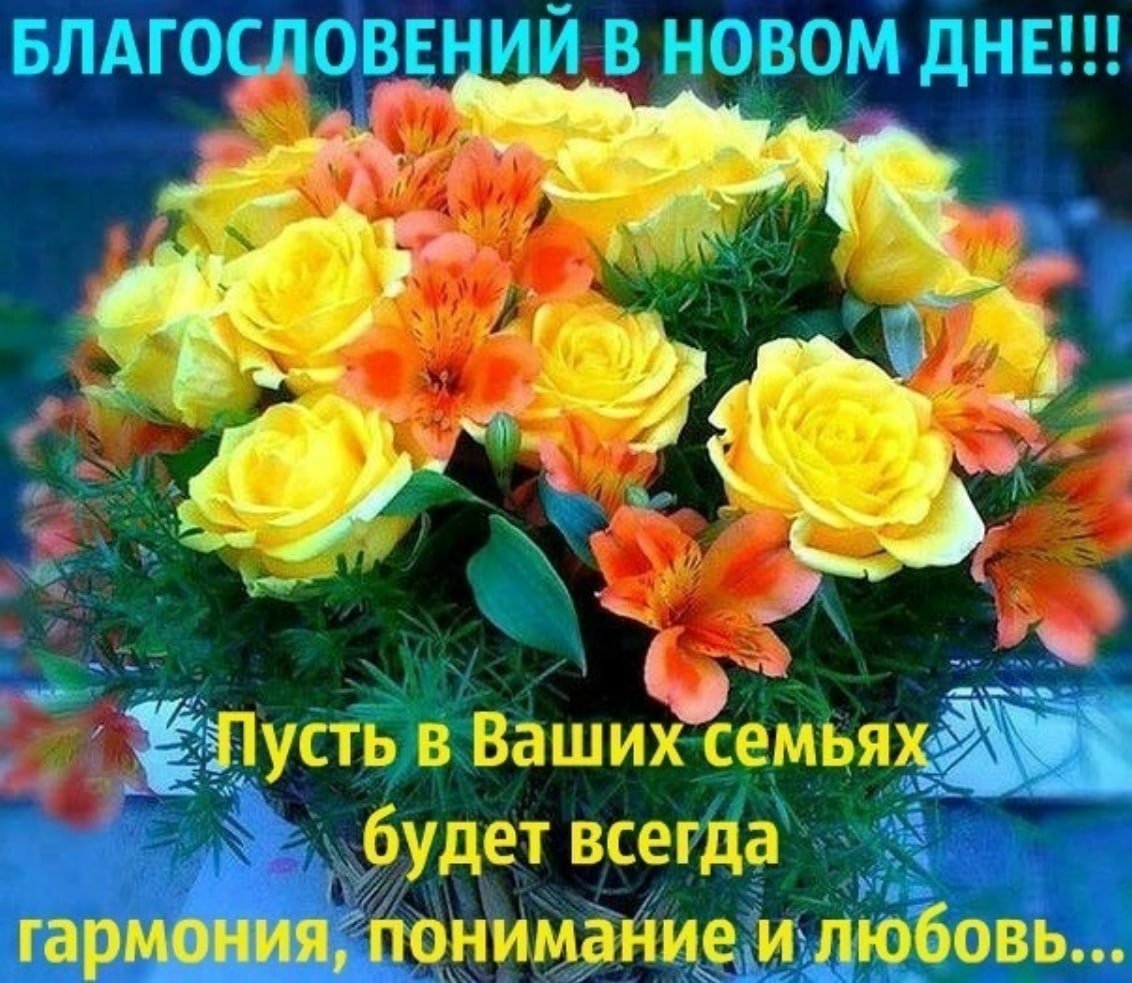 Доброй ночи до завтра