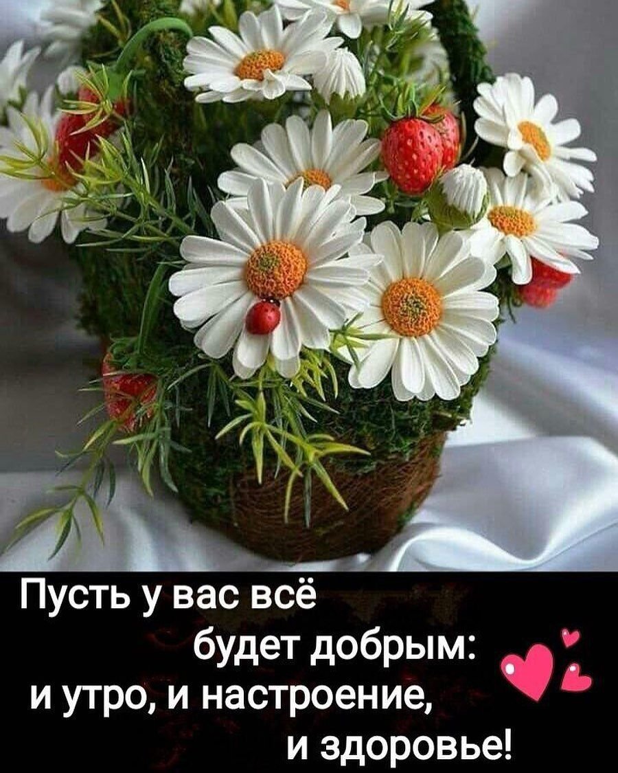 Благословенного дня