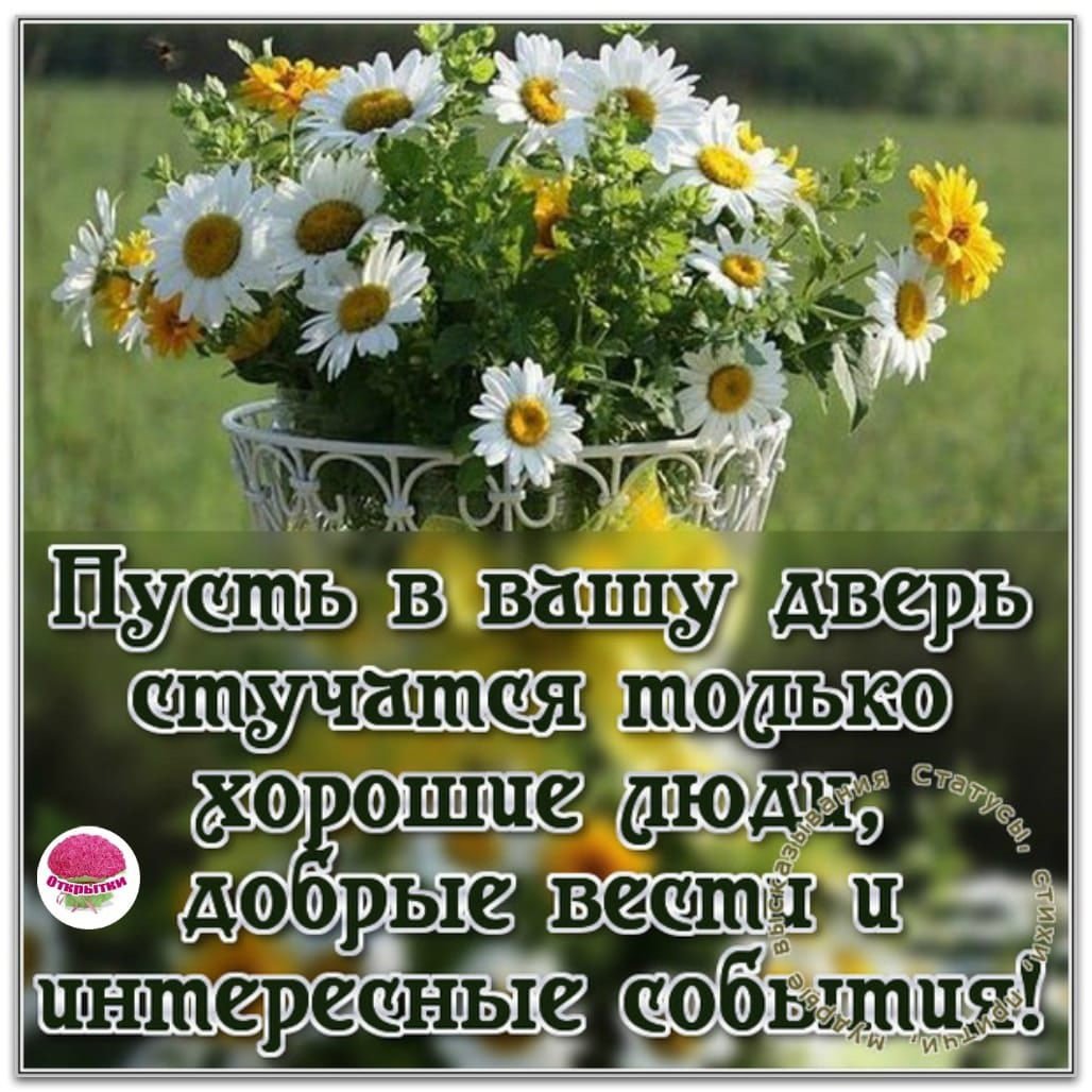 С добрым августовским утром