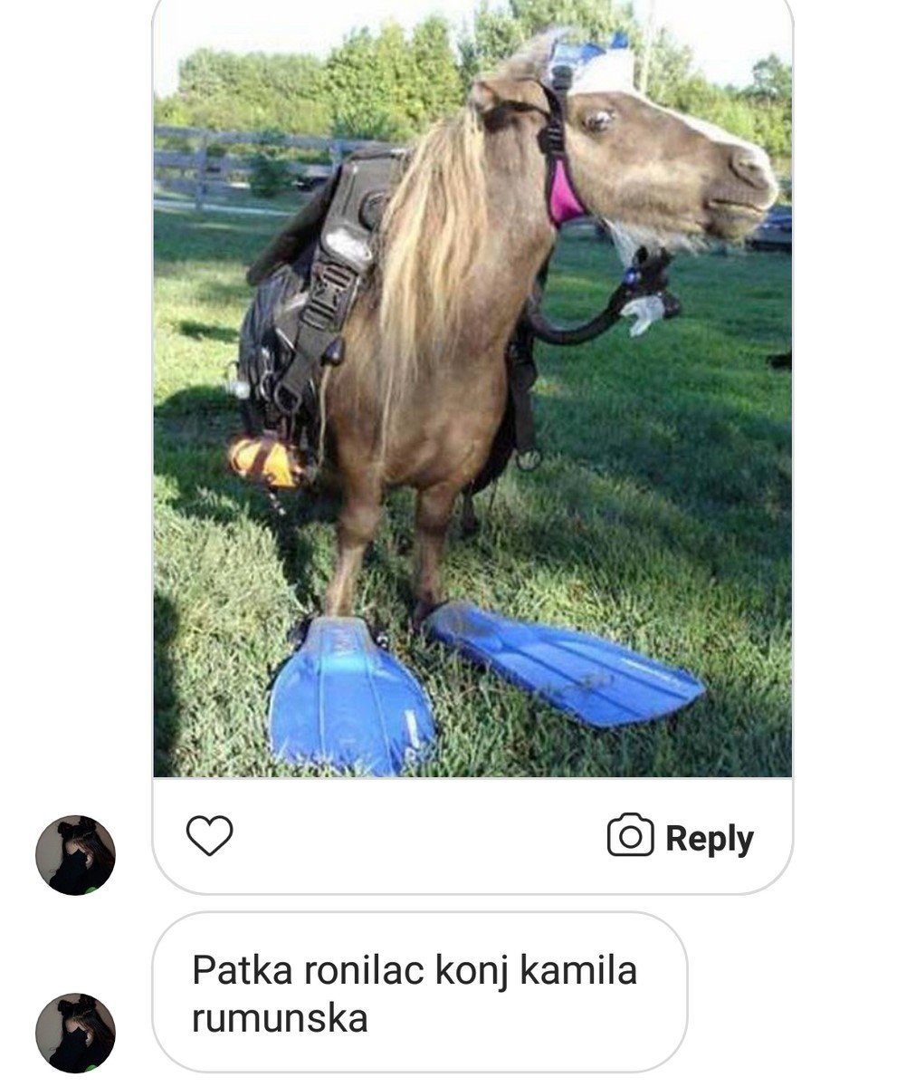 My little Pony Радуга Дэш арт