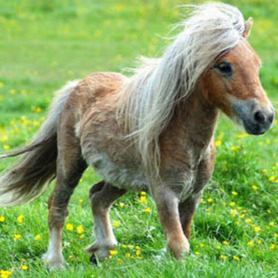 Красивые имена для ОС