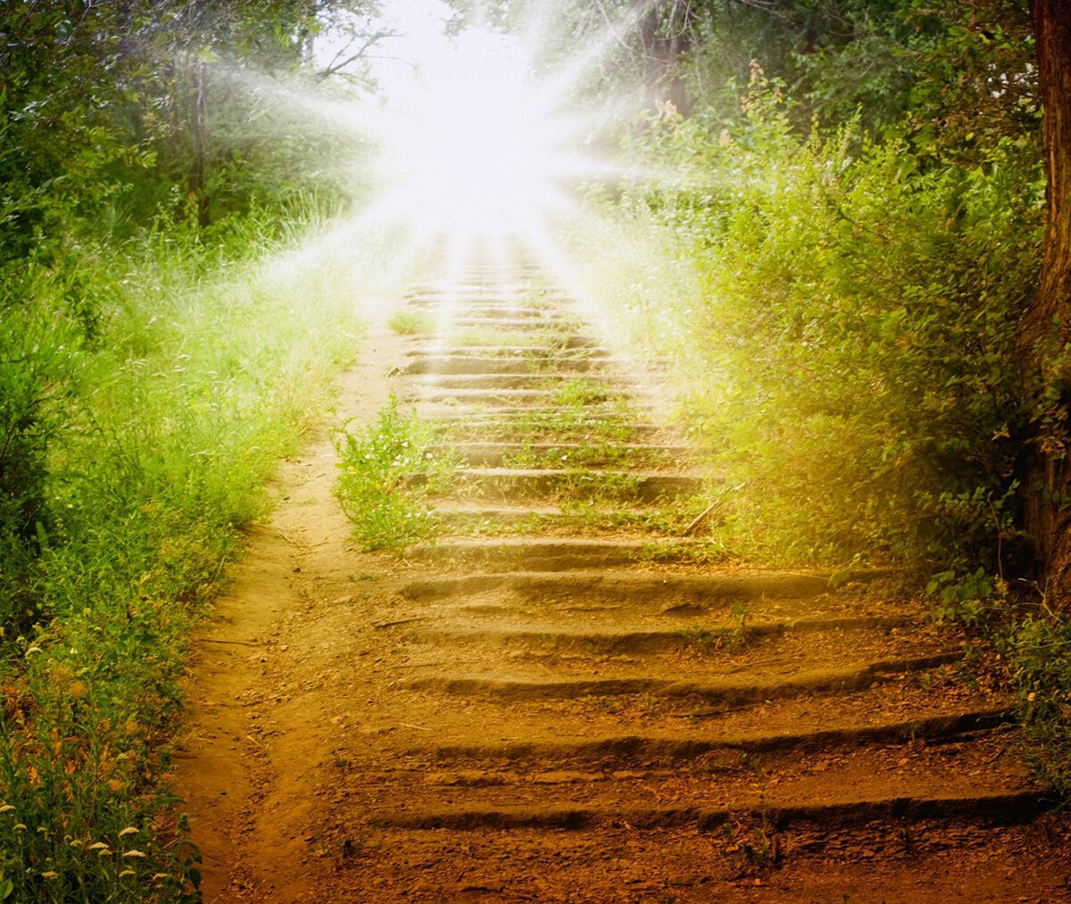 Дорога к свету