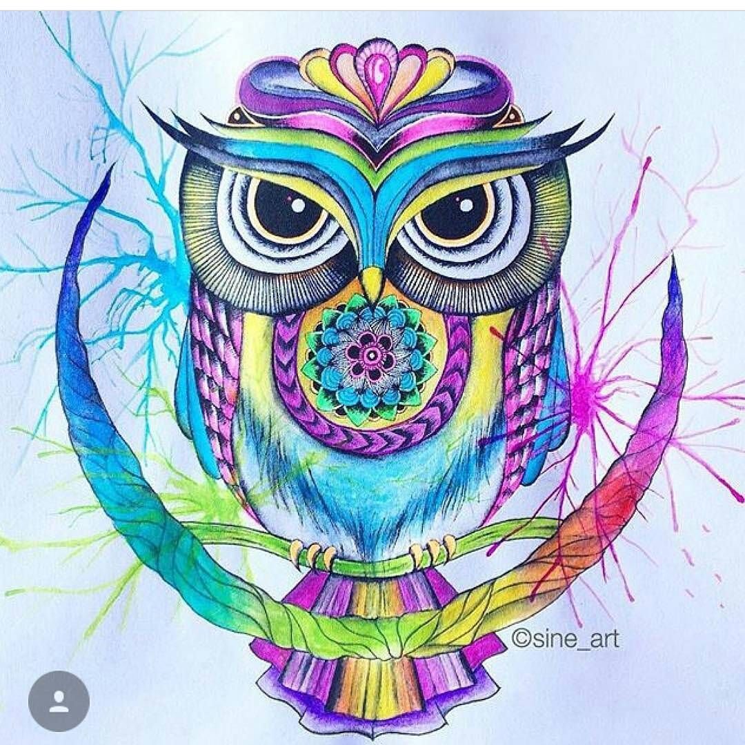 Сова Мандала цветная