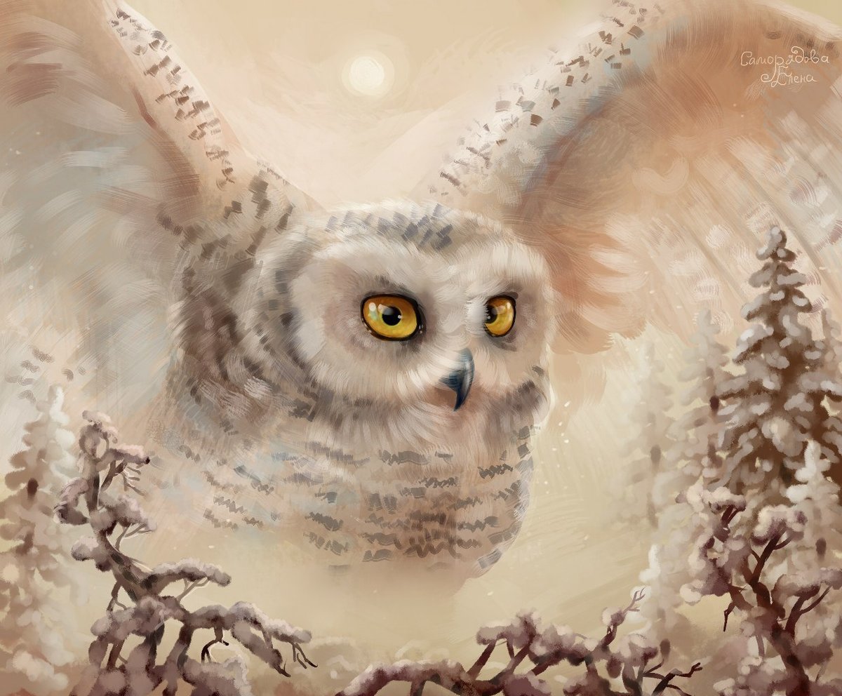 Елена Саморядова Совы