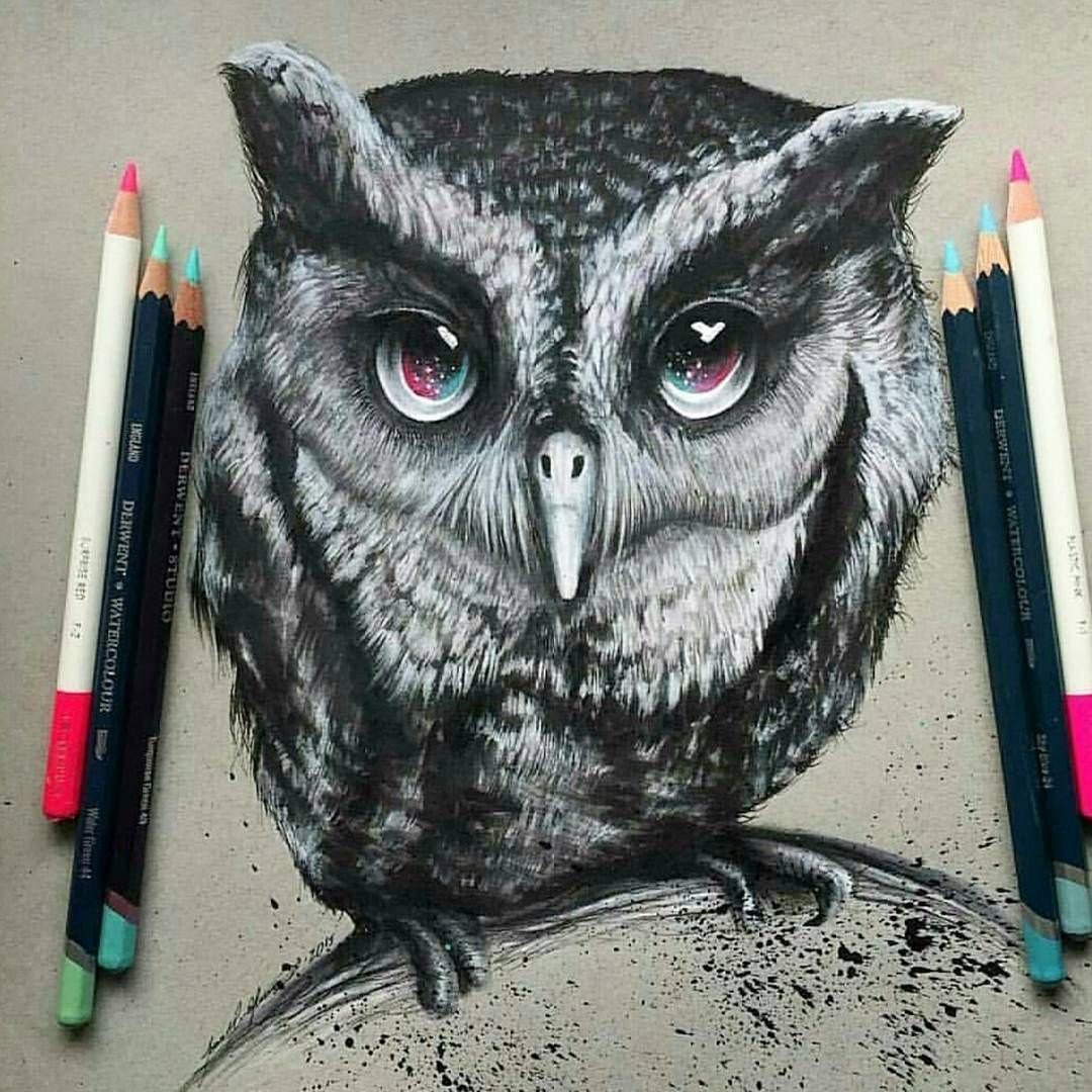 Сова цветными карандашами