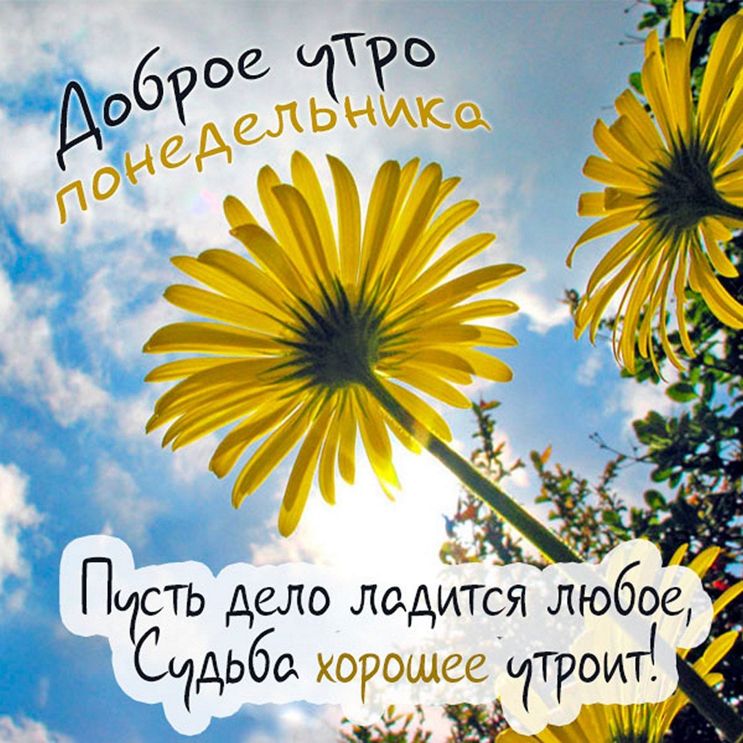 Доброе утро хорошего настроения