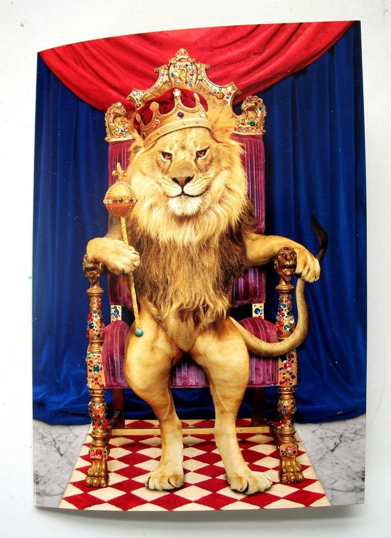 Знак зодиака Лев мужчина