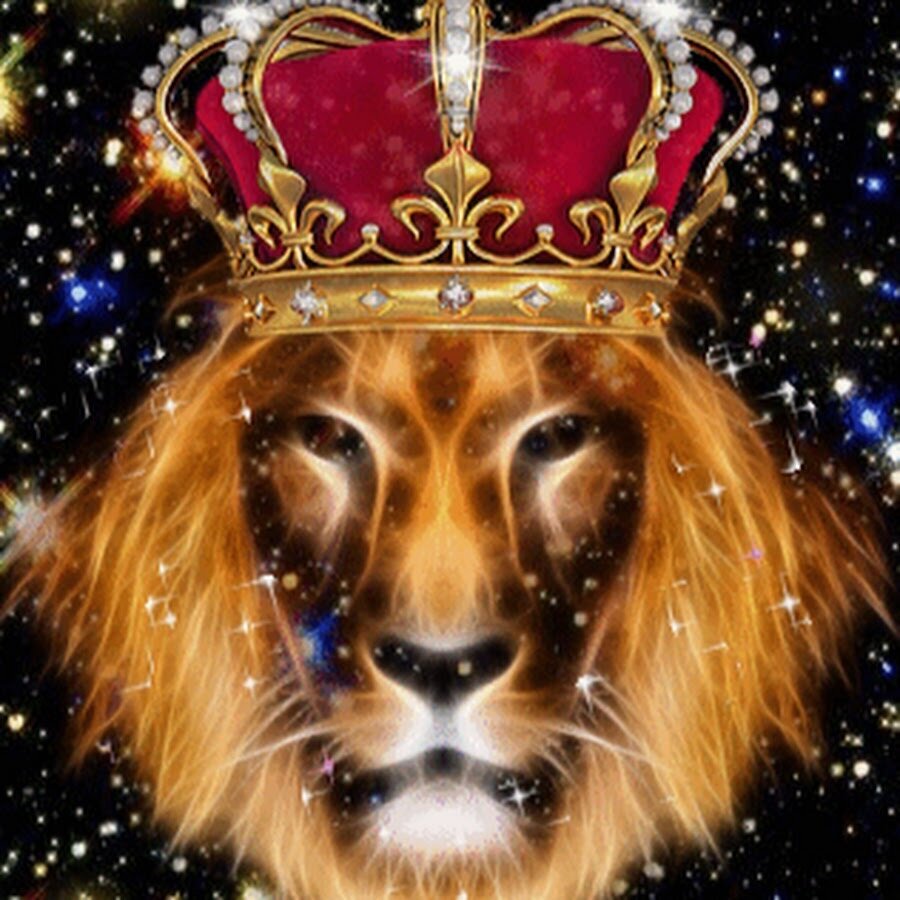 Сказочные зверюшки