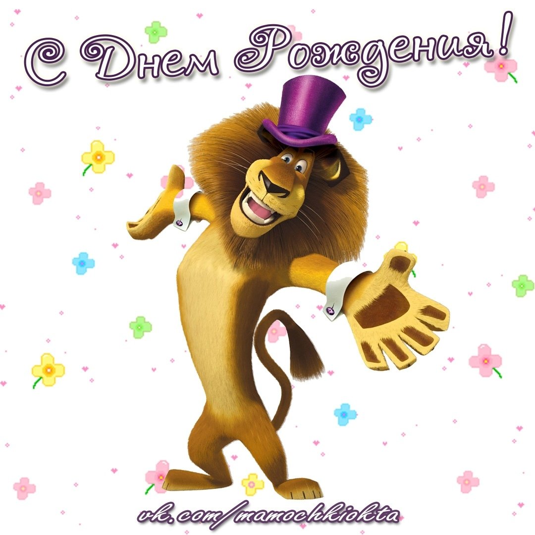 День рождения львенка