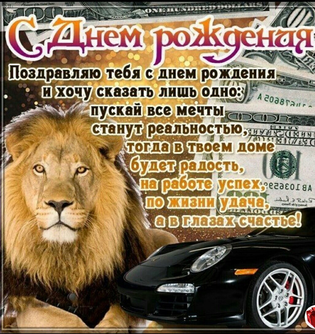 День рождения львенка