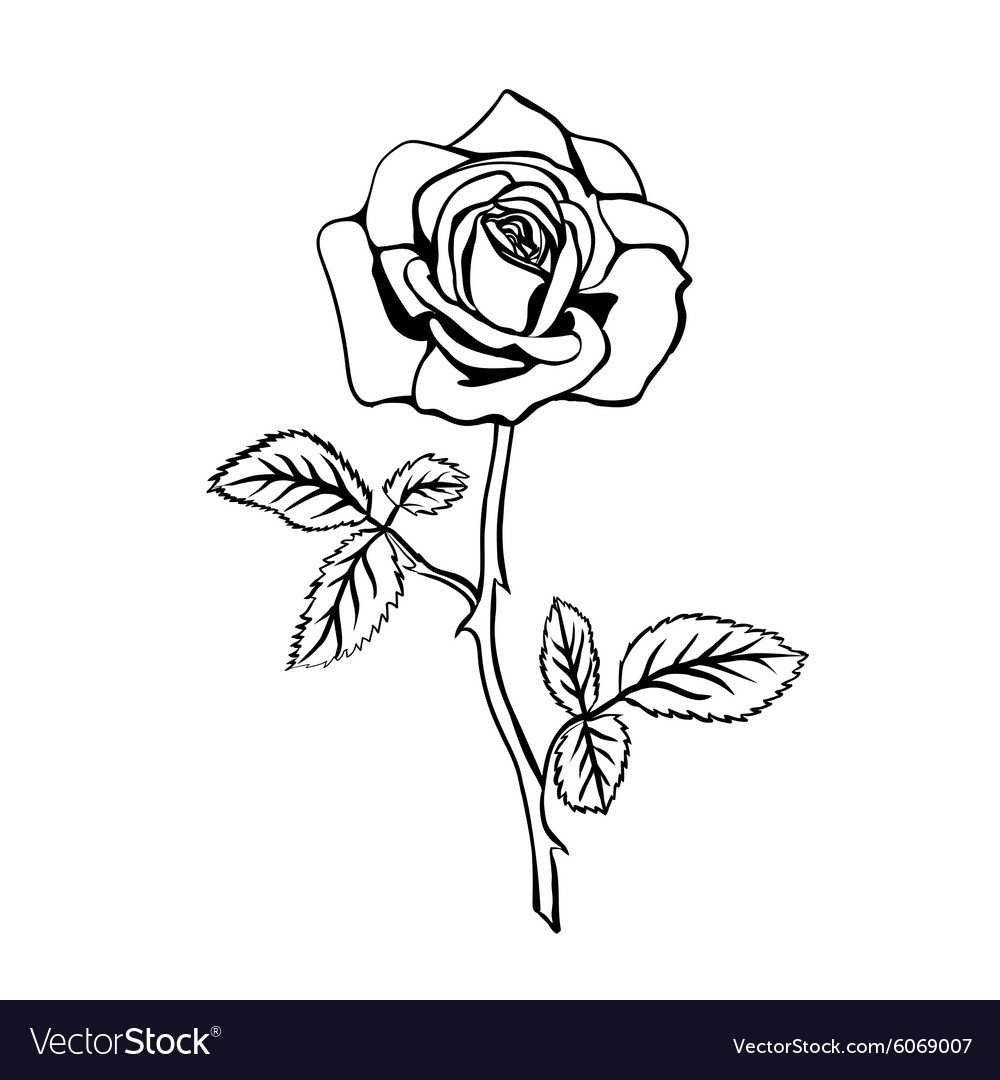 Рисунок маски на тему роза