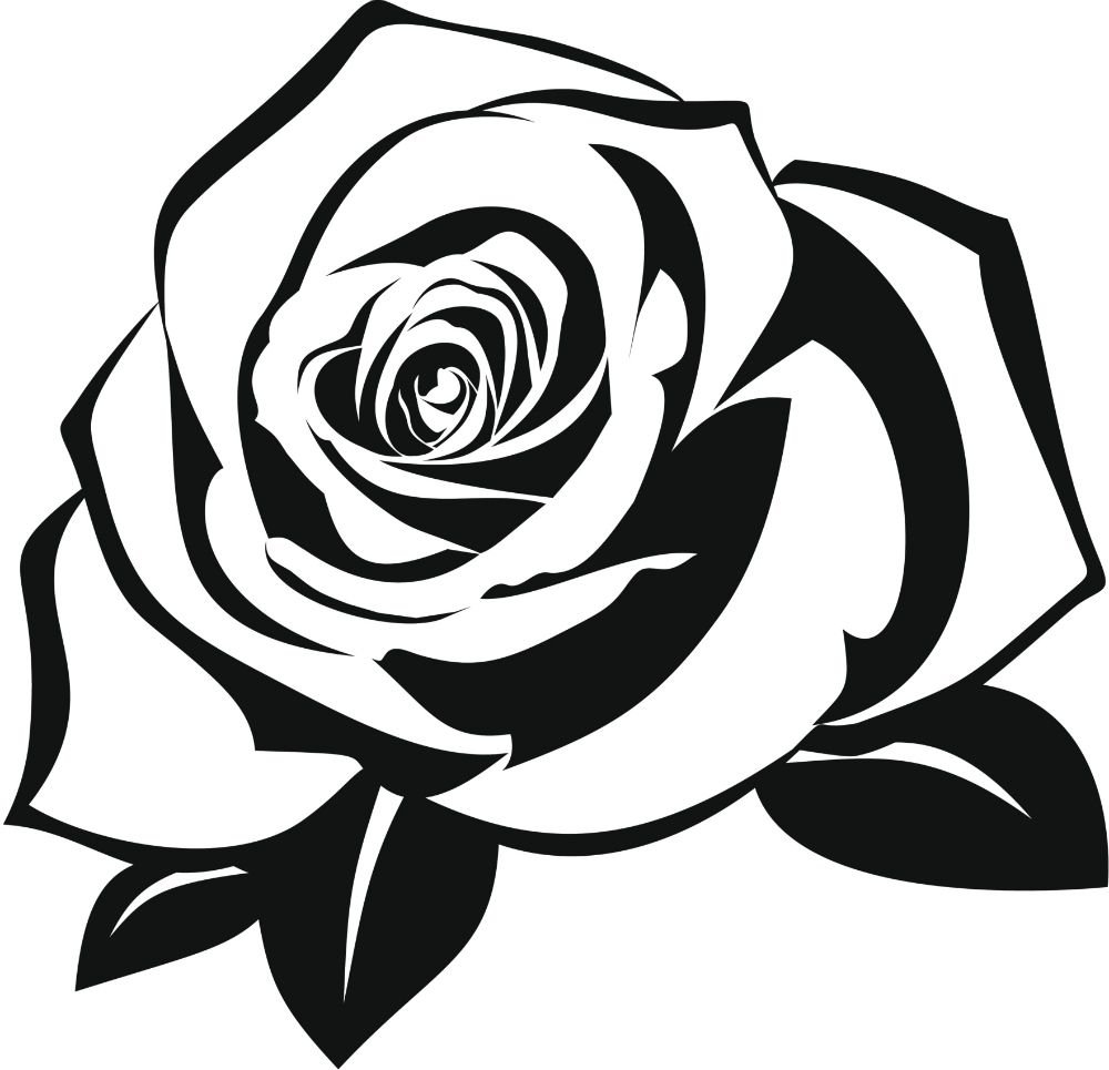 Черные и белые розы