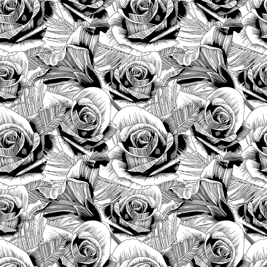 Роза рисунок