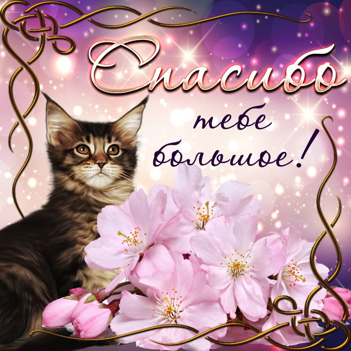 Открытки с мишками