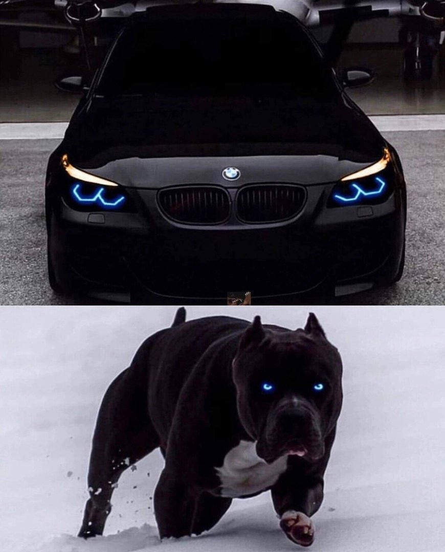 БМВ для пацанов