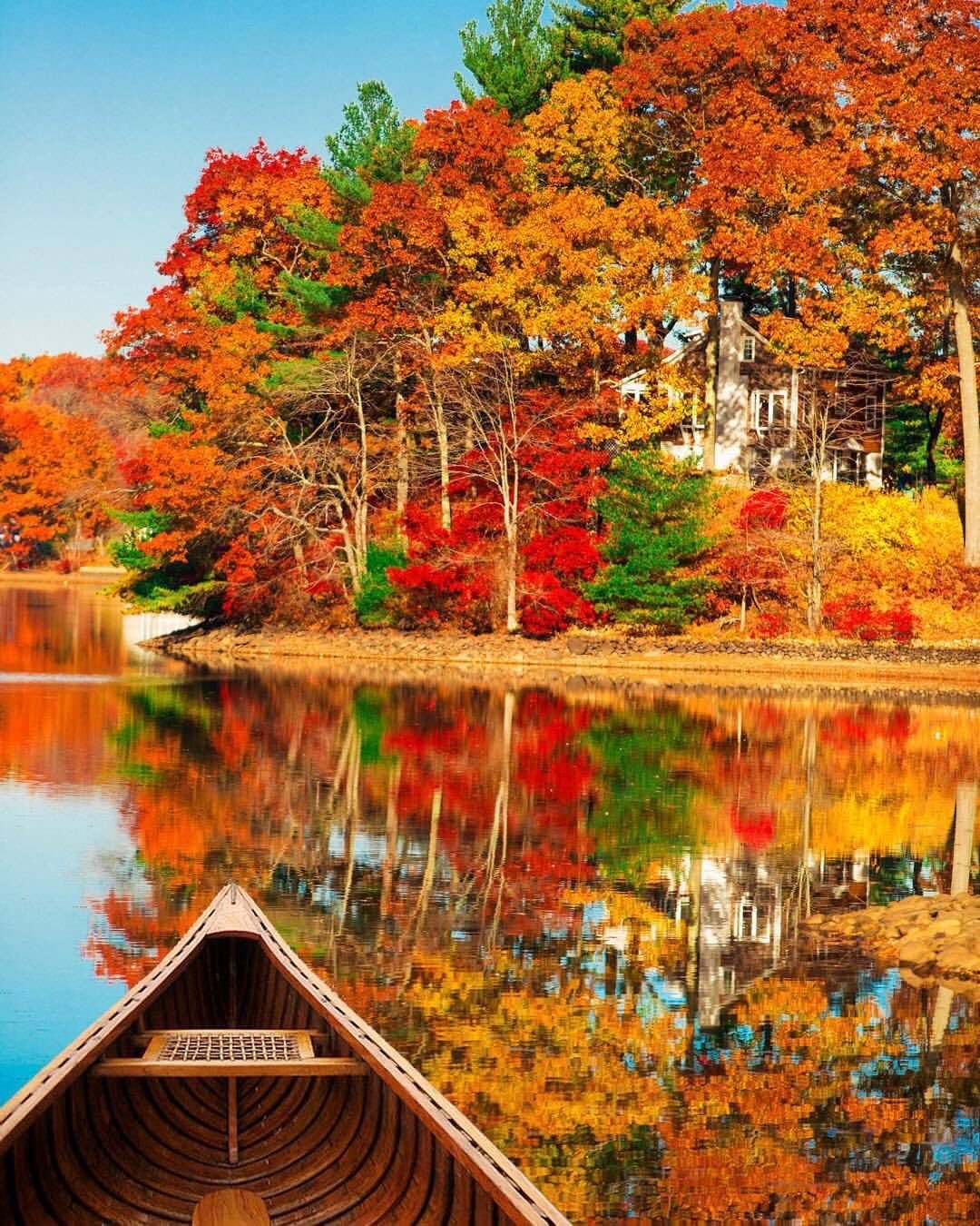 Яркие краски осени