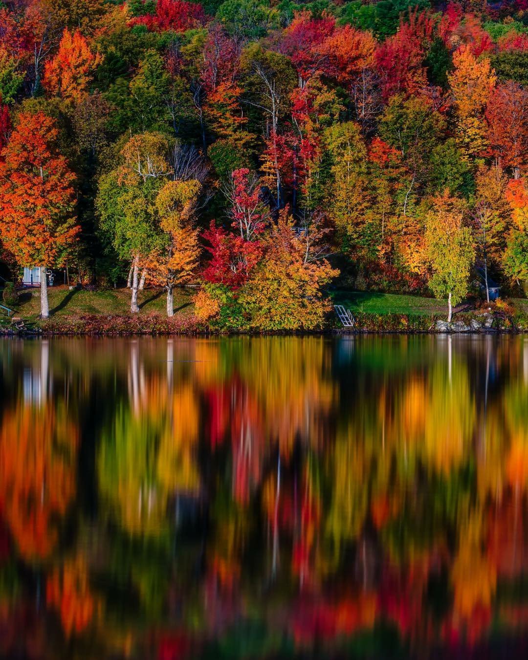 Природа осень