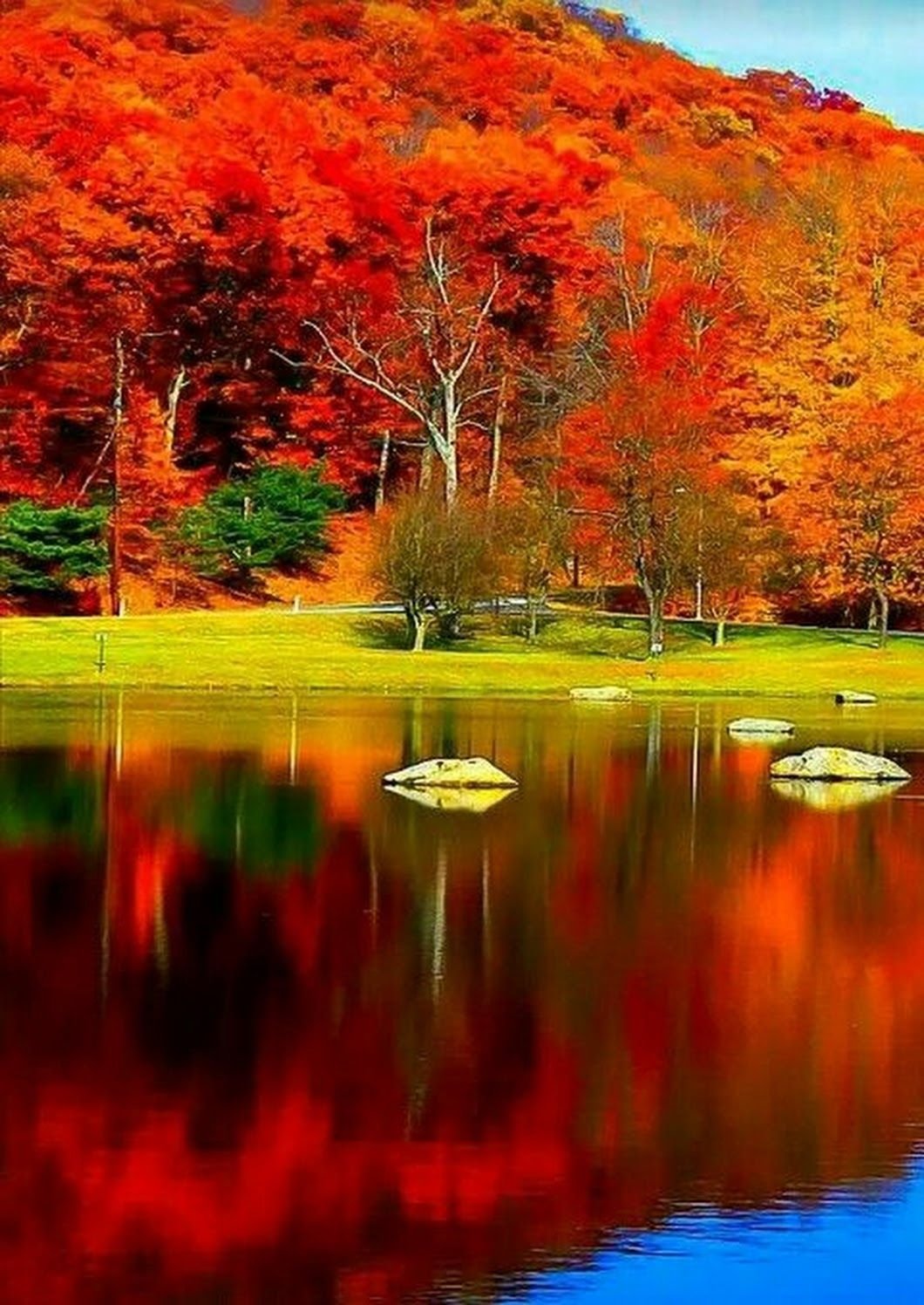 Осенние краски природы