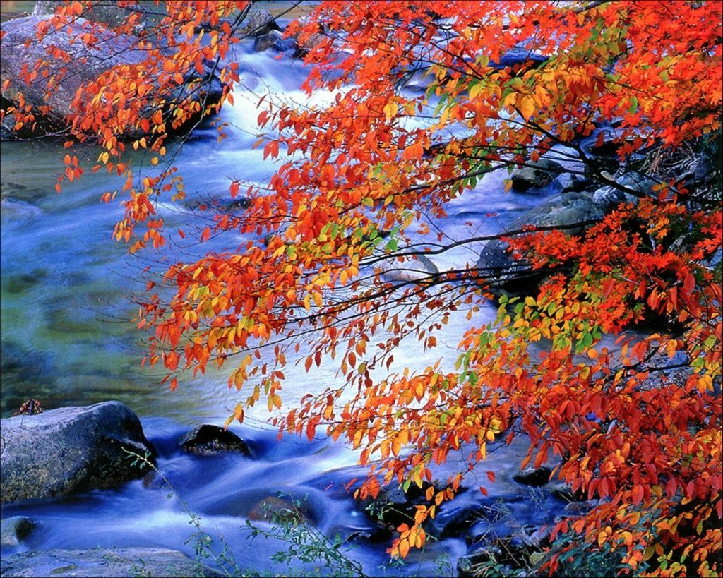 Красивая осень