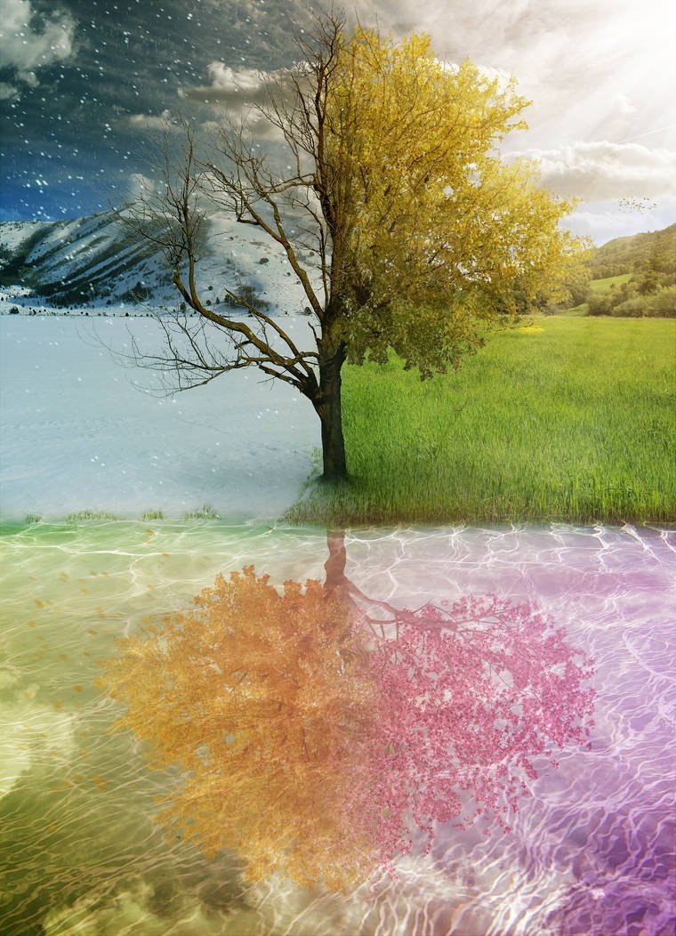 Четыре времени года