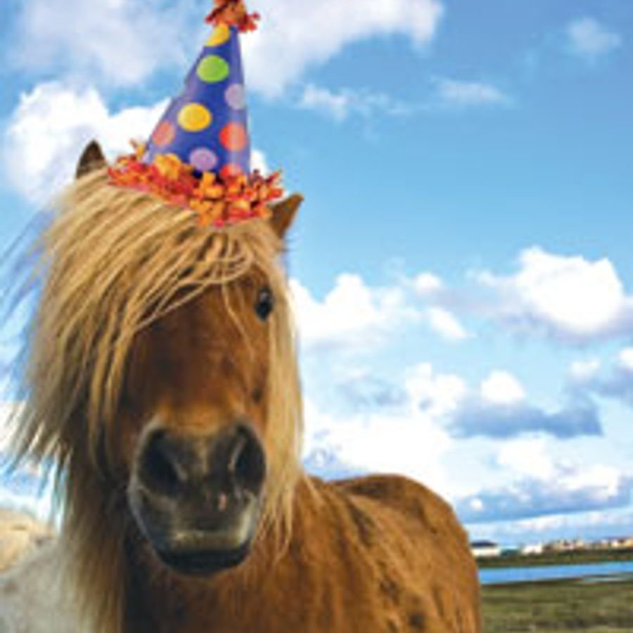С днём рождения с лошадью