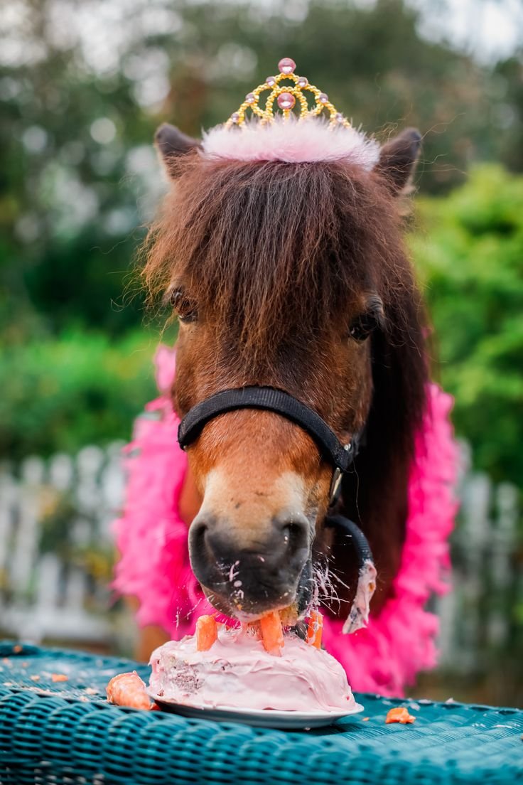 С днём рождения с лошадью