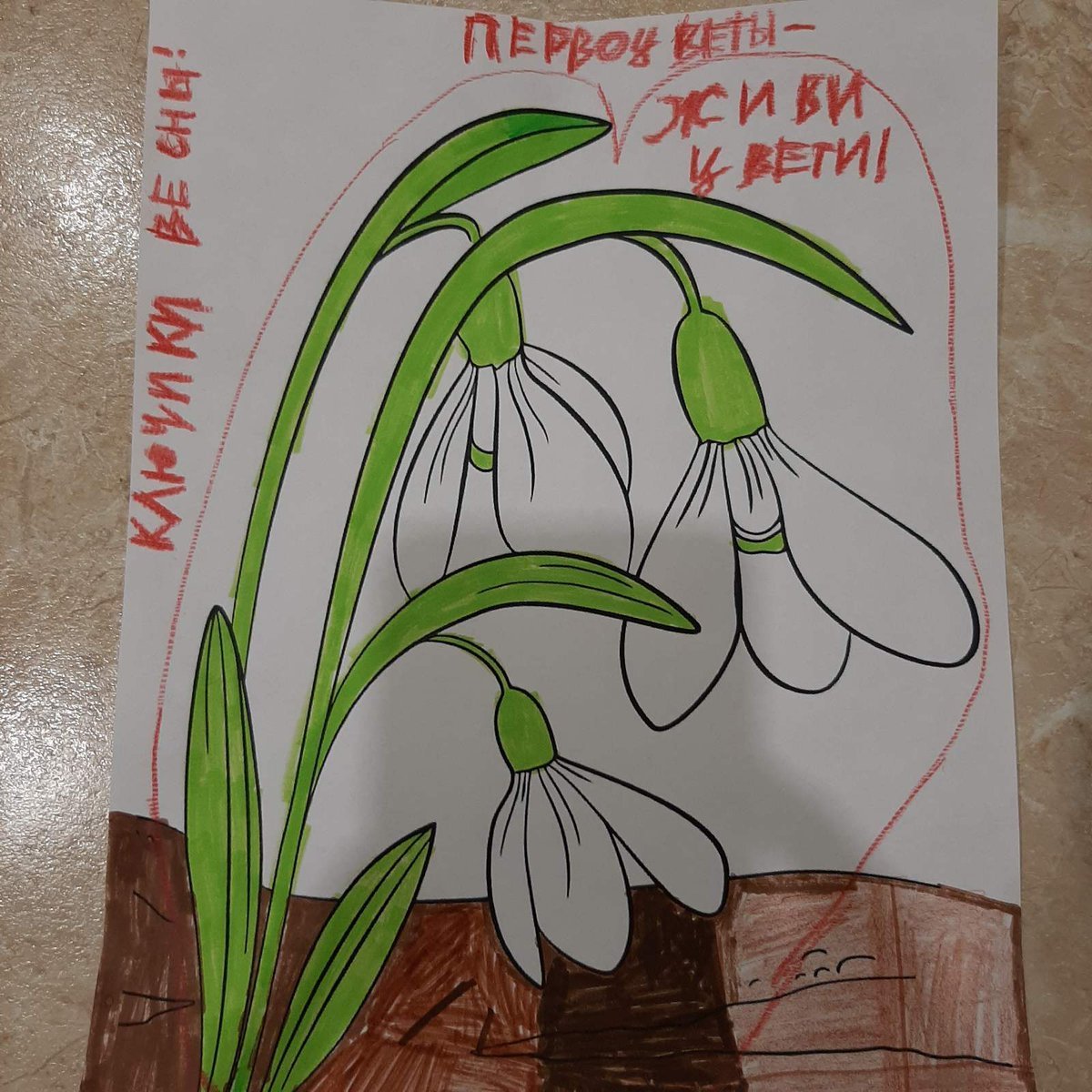 Защитим первоцветы листовки