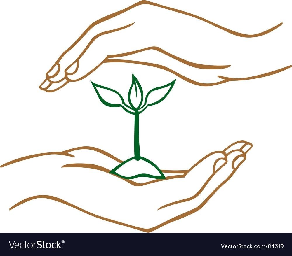 Росток в руках вектор