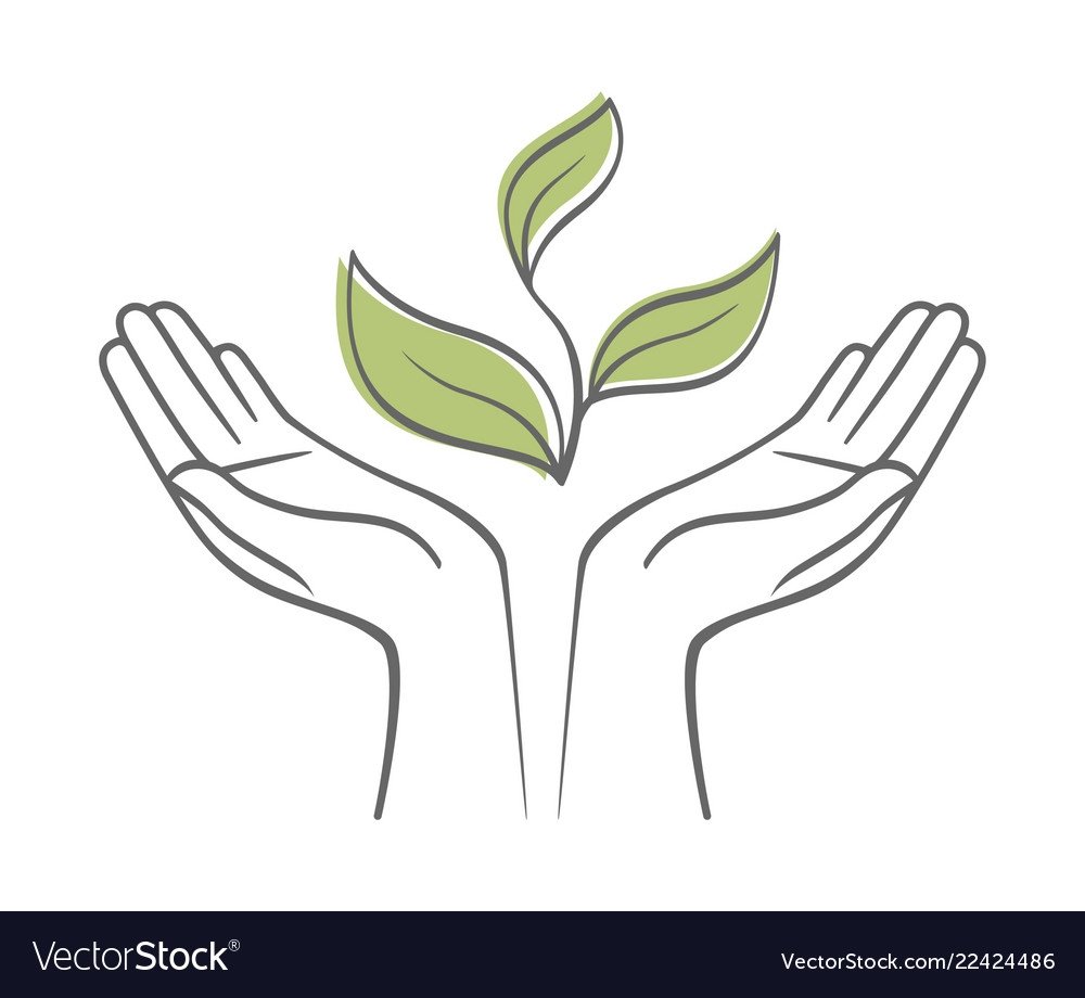 Знак растение в ладони