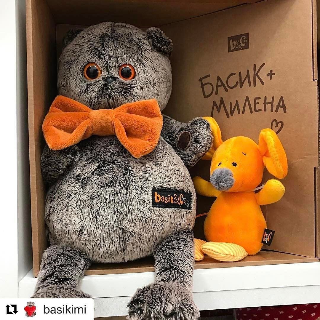 Басик в Красном флисовом жилете