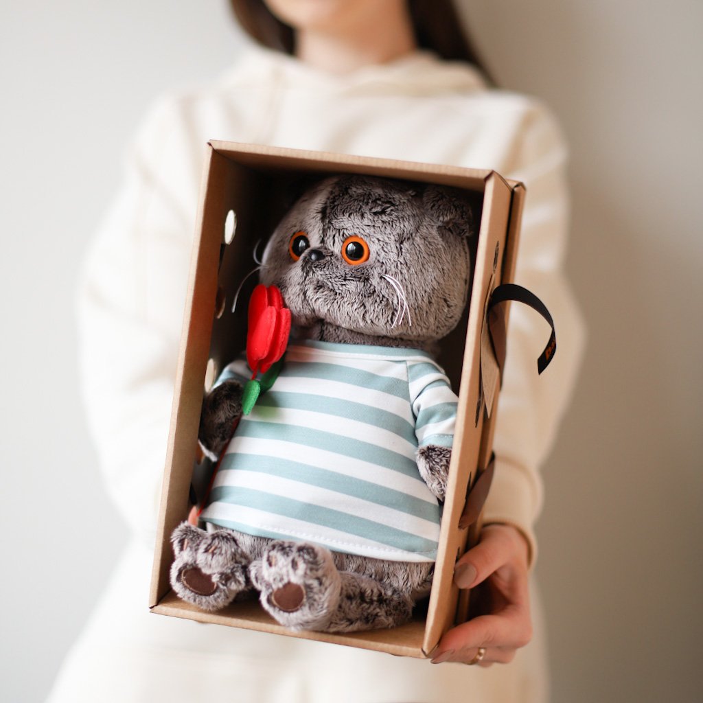 Басик игрушка бариста