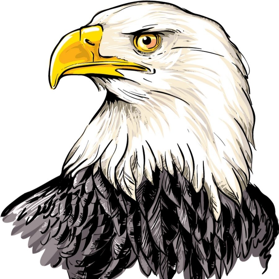 Рисунки Орлов