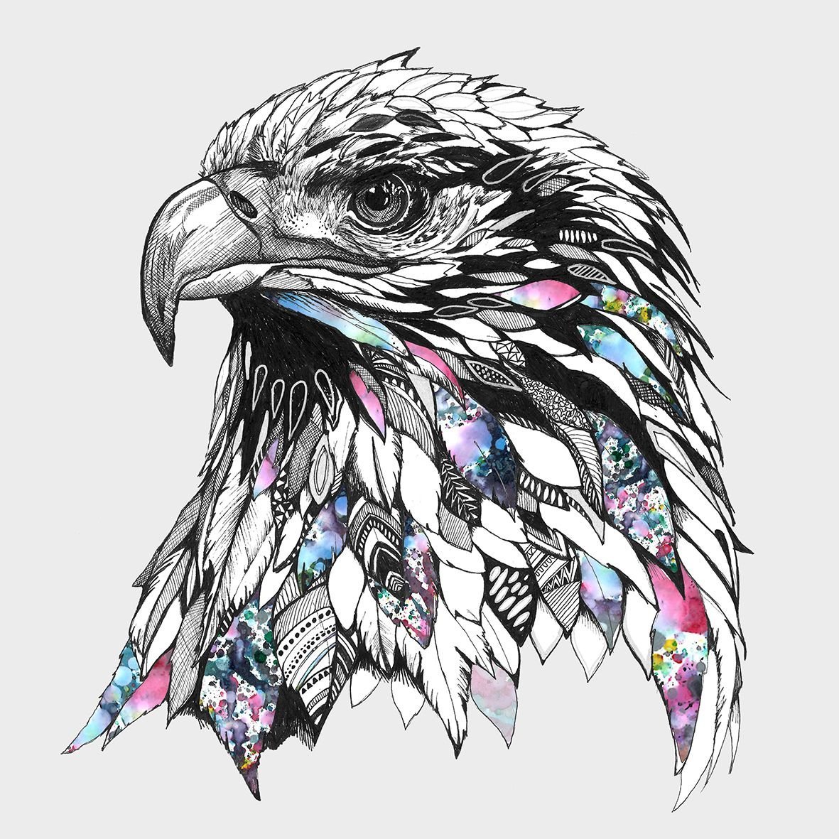 Орел карандашом по этапам