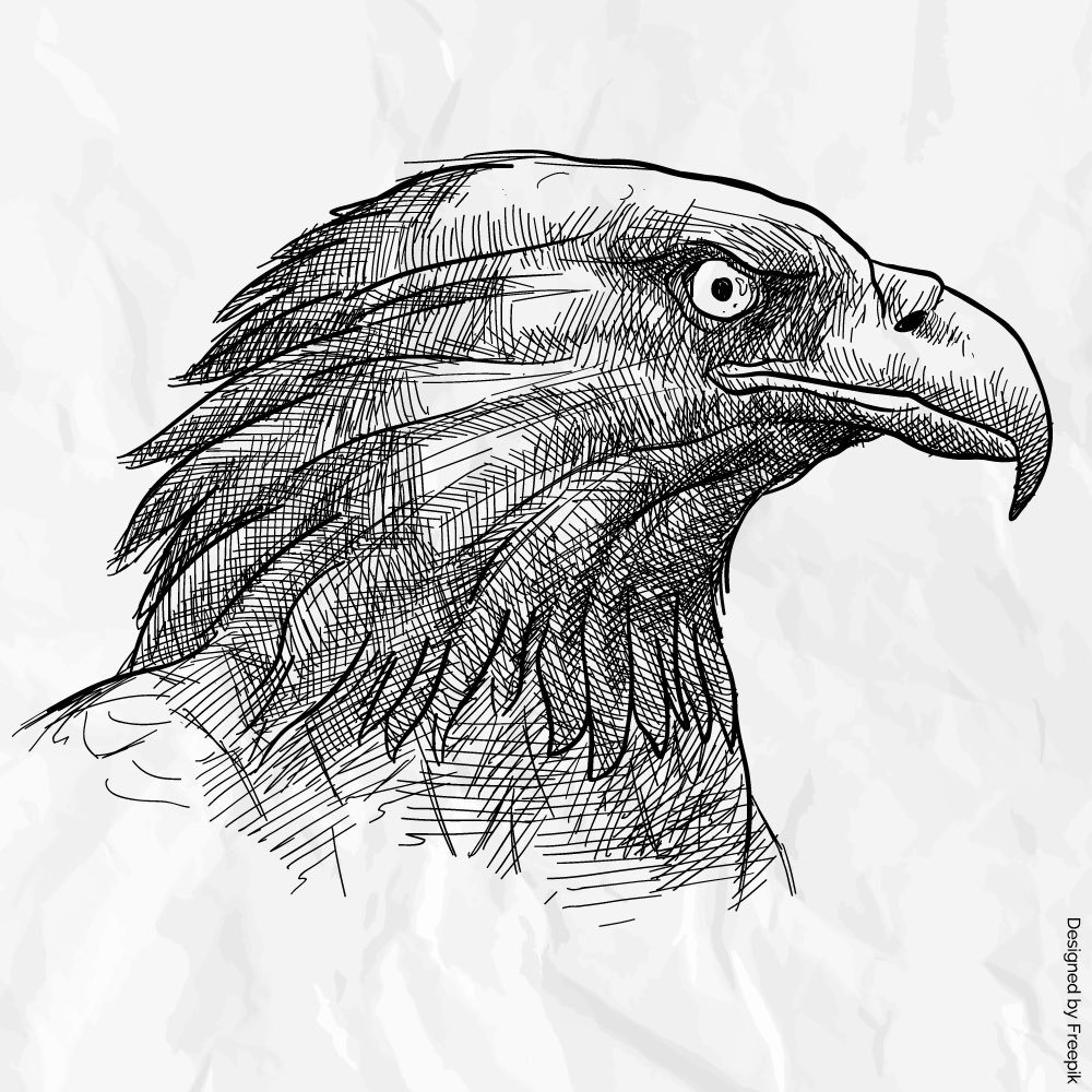 Птица на голове!