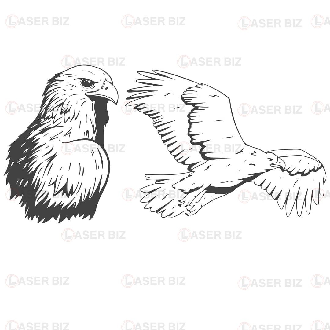 Контурные изображения головы орла